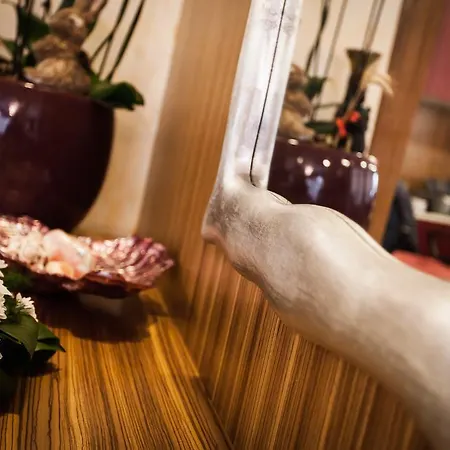 Hotel Aris 4*